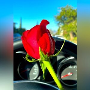 Meet your Posher, Titi Kazarova